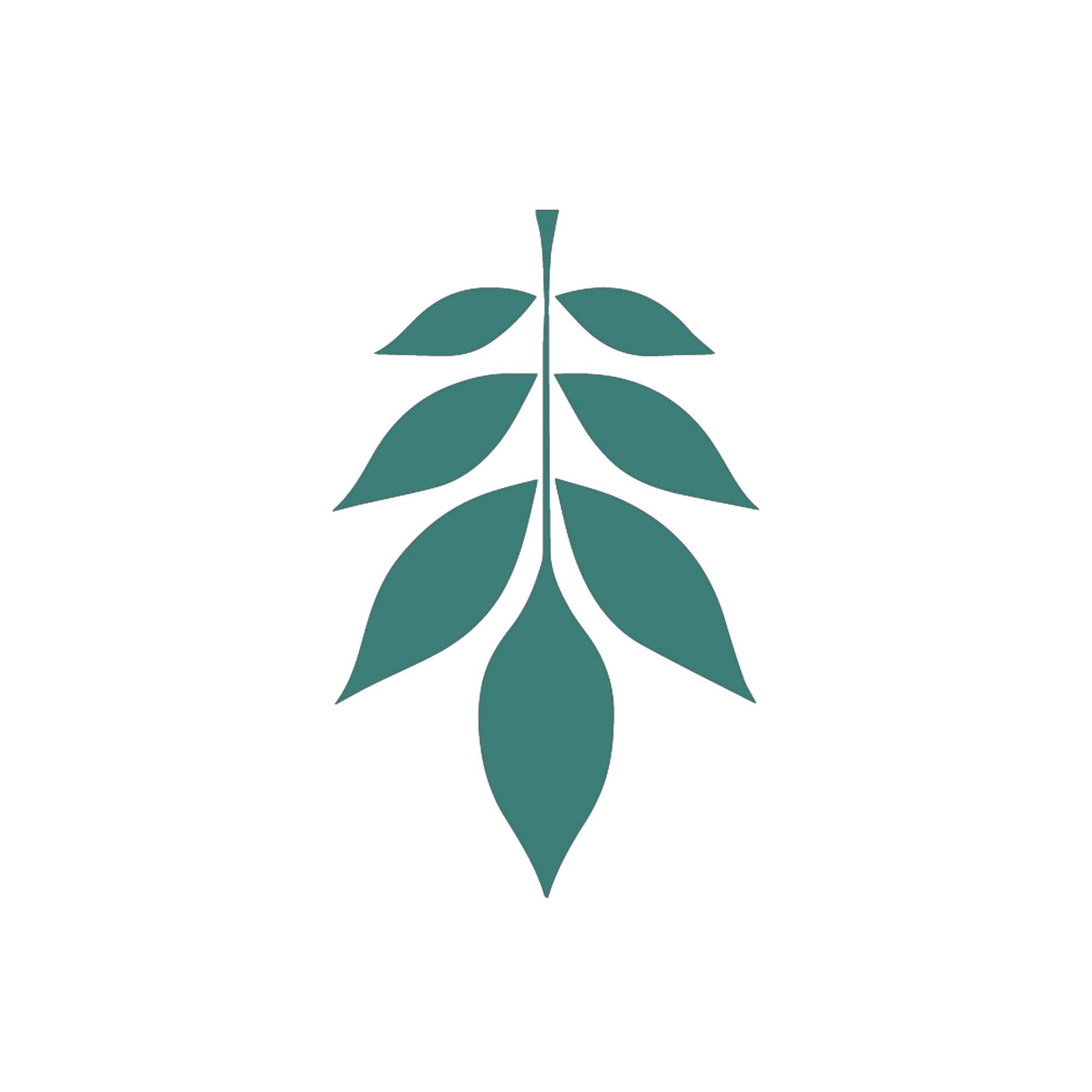 Tala Mathi Coffee Pvt. Ltd.